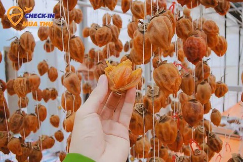 Mùa thu đến Đà Lạt: Có ai cưỡng nổi sức quyến rũ của thức quả này? - Ảnh 8. Mùa thu đến Đà Lạt: Có ai cưỡng nổi sức quyến rũ của thức quả này? - Ảnh 8.