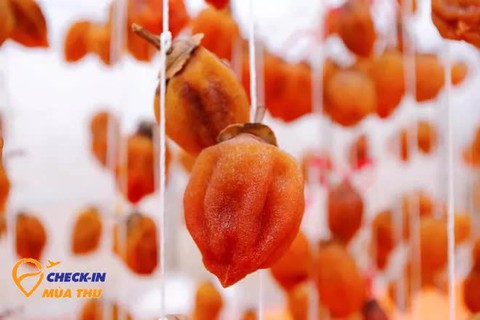 Mùa thu đến Đà Lạt: Có ai cưỡng nổi sức quyến rũ của thức quả này? - Ảnh 9. Mùa thu đến Đà Lạt: Có ai cưỡng nổi sức quyến rũ của thức quả này? - Ảnh 9.