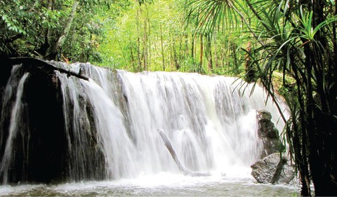 Bốn thác nước tuyệt đẹp của Việt Nam lên tem bưu chính - Ảnh 5. Bốn thác nước tuyệt đẹp của Việt Nam lên tem bưu chính - Ảnh 5.