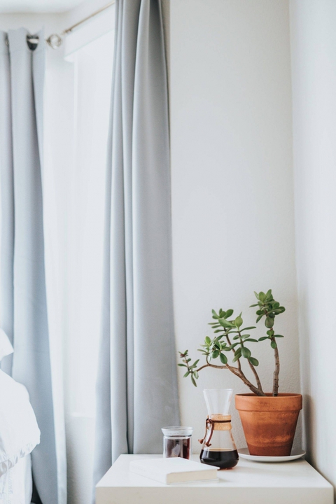 Những loại cây đặt trong phòng ngủ giúp bạn có những giấc ngủ ngon - Ảnh 8. Những loại cây đặt trong phòng ngủ giúp bạn có những giấc ngủ ngon - Ảnh 8.