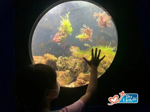 Học cách dạy con của phương Tây, bà mẹ quyết tâm đưa con 4 tuổi đi nhìn ngắm cả thế giới - Ảnh 2. Học cách dạy con của phương Tây, bà mẹ quyết tâm đưa con 4 tuổi đi nhìn ngắm cả thế giới - Ảnh 2.