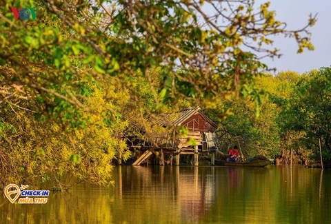 Ở Huế có một cánh rừng thuộc hệ cực quý hiếm còn sót lại ở Đông Nam Á - Ảnh 8. Ở Huế có một cánh rừng thuộc hệ cực quý hiếm còn sót lại ở Đông Nam Á - Ảnh 8.