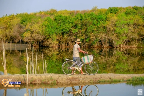 Ở Huế có một cánh rừng thuộc hệ cực quý hiếm còn sót lại ở Đông Nam Á - Ảnh 5. Ở Huế có một cánh rừng thuộc hệ cực quý hiếm còn sót lại ở Đông Nam Á - Ảnh 5.