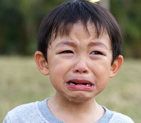 Cha mẹ đừng chỉ chăm chăm ép con học giỏi, chú trọng đào tạo 2 kỹ năng này từ nhỏ sẽ đem lại lợi ích suốt cuộc đời - Ảnh 1. Cha mẹ đừng chỉ chăm chăm ép con học giỏi, chú trọng đào tạo 2 kỹ năng này từ nhỏ sẽ đem lại lợi ích suốt cuộc đời - Ảnh 1.