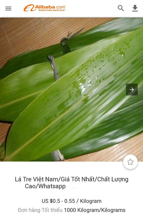 Loại lá tre đặc biệt của Việt Nam đang thành hàng hot ở nước ngoài: Xuất khẩu giá đắt đỏ, thu về hàng chục tỷ đồng - Ảnh 4. Loại lá tre đặc biệt của Việt Nam đang thành hàng hot ở nước ngoài: Xuất khẩu giá đắt đỏ, thu về hàng chục tỷ đồng - Ảnh 4.