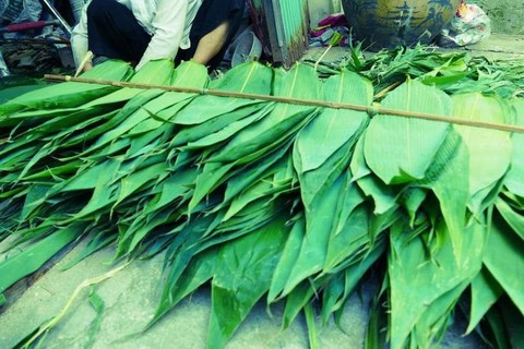 Loại lá tre đặc biệt của Việt Nam đang thành hàng hot ở nước ngoài: Xuất khẩu giá đắt đỏ, thu về hàng chục tỷ đồng - Ảnh 3. Loại lá tre đặc biệt của Việt Nam đang thành hàng hot ở nước ngoài: Xuất khẩu giá đắt đỏ, thu về hàng chục tỷ đồng - Ảnh 3.