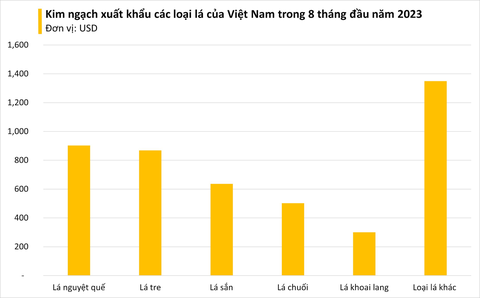 Loại lá tre đặc biệt của Việt Nam đang thành hàng hot ở nước ngoài: Xuất khẩu giá đắt đỏ, thu về hàng chục tỷ đồng - Ảnh 2. Loại lá tre đặc biệt của Việt Nam đang thành hàng hot ở nước ngoài: Xuất khẩu giá đắt đỏ, thu về hàng chục tỷ đồng - Ảnh 2.