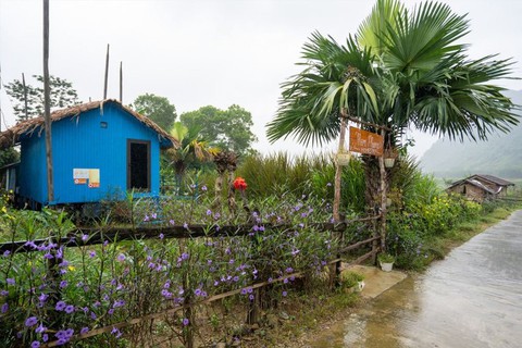Có gì ở ngôi làng Việt Nam gần kỳ quan nổi tiếng, vừa được vinh danh là Làng du lịch tốt nhất thế giới? - Ảnh 6. Có gì ở ngôi làng Việt Nam gần kỳ quan nổi tiếng, vừa được vinh danh là Làng du lịch tốt nhất thế giới? - Ảnh 6.