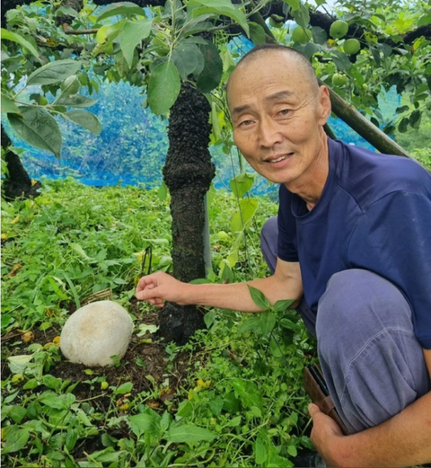 Nhặt được quả trứng kỳ lạ, người đàn ông ngỡ ngàng khi biết lai lịch của nó - Ảnh 2. Nhặt được quả trứng kỳ lạ, người đàn ông ngỡ ngàng khi biết lai lịch của nó - Ảnh 2.