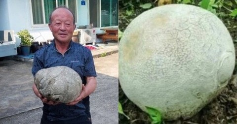 Nhặt được quả trứng kỳ lạ, người đàn ông ngỡ ngàng khi biết lai lịch của nó - Ảnh 1. Nhặt được quả trứng kỳ lạ, người đàn ông ngỡ ngàng khi biết lai lịch của nó - Ảnh 1.
