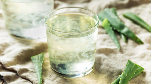 Loại lá cứng nhớt là “thuốc hạ đường huyết” tự nhiên, tốt cho người tiểu đường: Người Ai Cập gọi là “cây trường sinh”, sẵn có ở Việt Nam - Ảnh 2. Loại lá cứng nhớt là “thuốc hạ đường huyết” tự nhiên, tốt cho người tiểu đường: Người Ai Cập gọi là “cây trường sinh”, sẵn có ở Việt Nam - Ảnh 2.