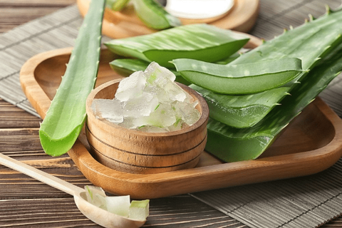 Loại lá cứng nhớt là “thuốc hạ đường huyết” tự nhiên, tốt cho người tiểu đường: Người Ai Cập gọi là “cây trường sinh”, sẵn có ở Việt Nam - Ảnh 1. Loại lá cứng nhớt là “thuốc hạ đường huyết” tự nhiên, tốt cho người tiểu đường: Người Ai Cập gọi là “cây trường sinh”, sẵn có ở Việt Nam - Ảnh 1.