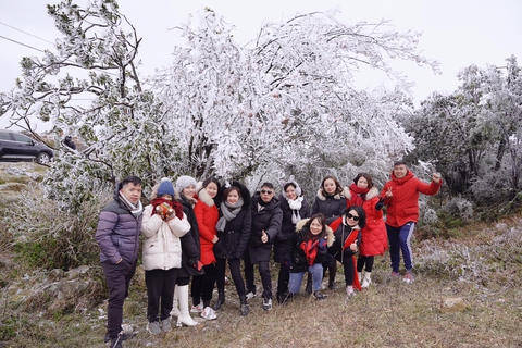 Nơi lạnh nhất Việt Nam hút khách cuối năm: Không phải Fansipan, đến đây thấy băng tuyết là chuyện thường - Ảnh 3. Nơi lạnh nhất Việt Nam hút khách cuối năm: Không phải Fansipan, đến đây thấy băng tuyết là chuyện thường - Ảnh 3.