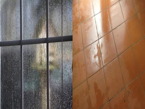 Máy hút ẩm hoạt động có hiệu quả không? Loạt video người dùng chứng minh sự thật - Ảnh 1. Máy hút ẩm hoạt động có hiệu quả không? Loạt video người dùng chứng minh sự thật - Ảnh 1.