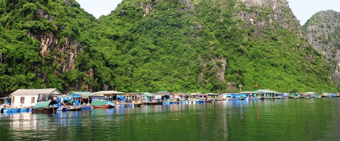 Đến thăm làng chài Cửa Vạn - ngôi làng nằm trong top 16 thị trấn ven biển xinh đẹp nhất thế giới - Ảnh 5. Đến thăm làng chài Cửa Vạn - ngôi làng nằm trong top 16 thị trấn ven biển xinh đẹp nhất thế giới - Ảnh 5.
