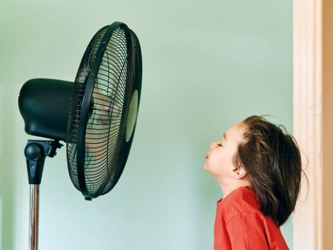 Một chiếc quạt có nên chạy cả ngày? Những lưu ý người dùng nên nhớ để sử dụng hiệu quả, an toàn - Ảnh 2. Một chiếc quạt có nên chạy cả ngày? Những lưu ý người dùng nên nhớ để sử dụng hiệu quả, an toàn - Ảnh 2.