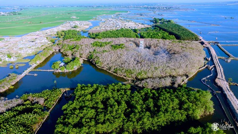 Đổi màu giữa mùa hè, khu rừng ngập mặn duy nhất ở Huế trở thành điểm đến của các gia đình - Ảnh 1. Đổi màu giữa mùa hè, khu rừng ngập mặn duy nhất ở Huế trở thành điểm đến của các gia đình - Ảnh 1.
