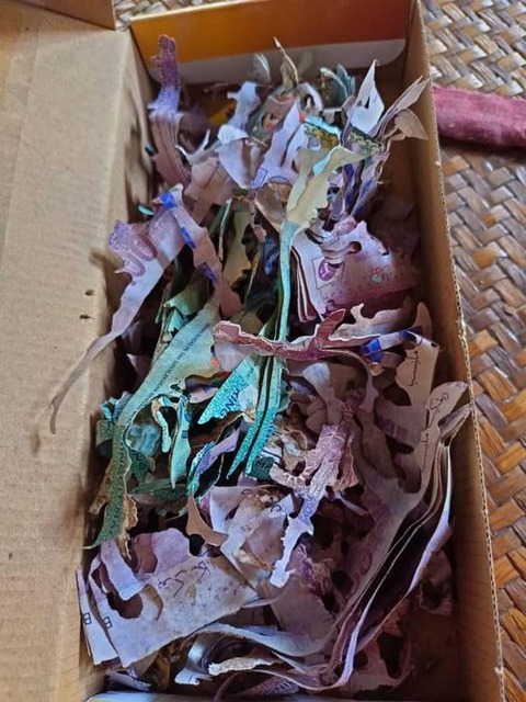 Cất giữ tiền tiết kiệm cả đời trong chiếc hộp cũ, cụ bà đau đớn khi mở ra sau thời gian dài - Ảnh 1. Cất giữ tiền tiết kiệm cả đời trong chiếc hộp cũ, cụ bà đau đớn khi mở ra sau thời gian dài - Ảnh 1.