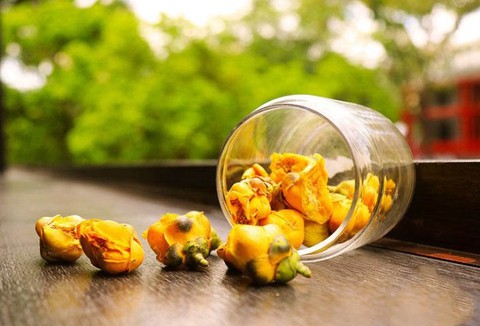 Loài hoa tiên cực kỳ quý hiếm: Trung Quốc trồng bao nhiêu cũng không đủ, sang cả Việt Nam lùng mua - Ảnh 3. Loài hoa tiên cực kỳ quý hiếm: Trung Quốc trồng bao nhiêu cũng không đủ, sang cả Việt Nam lùng mua - Ảnh 3.