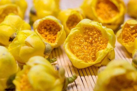 Loài hoa tiên cực kỳ quý hiếm: Trung Quốc trồng bao nhiêu cũng không đủ, sang cả Việt Nam lùng mua - Ảnh 1. Loài hoa tiên cực kỳ quý hiếm: Trung Quốc trồng bao nhiêu cũng không đủ, sang cả Việt Nam lùng mua - Ảnh 1.