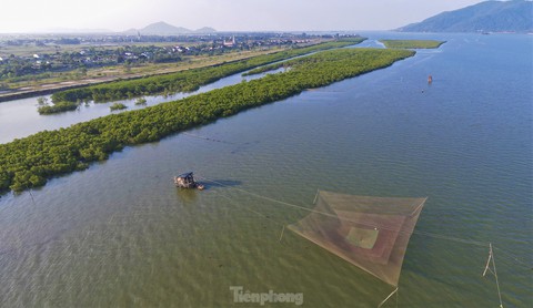 Nhìn từ trên cao những cánh rừng ngập mặn xanh mướt, đẹp như tranh ở Hà Tĩnh - Ảnh 6. Nhìn từ trên cao những cánh rừng ngập mặn xanh mướt, đẹp như tranh ở Hà Tĩnh - Ảnh 6.