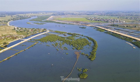 Nhìn từ trên cao những cánh rừng ngập mặn xanh mướt, đẹp như tranh ở Hà Tĩnh - Ảnh 4. Nhìn từ trên cao những cánh rừng ngập mặn xanh mướt, đẹp như tranh ở Hà Tĩnh - Ảnh 4.