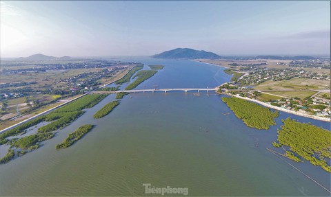Nhìn từ trên cao những cánh rừng ngập mặn xanh mướt, đẹp như tranh ở Hà Tĩnh - Ảnh 3. Nhìn từ trên cao những cánh rừng ngập mặn xanh mướt, đẹp như tranh ở Hà Tĩnh - Ảnh 3.