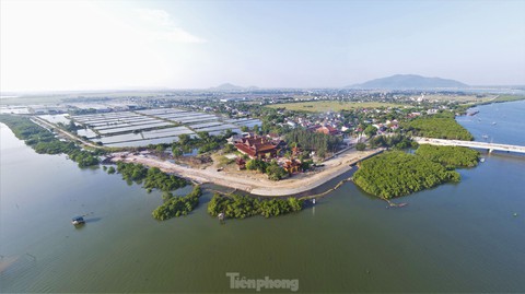 Nhìn từ trên cao những cánh rừng ngập mặn xanh mướt, đẹp như tranh ở Hà Tĩnh - Ảnh 8. Nhìn từ trên cao những cánh rừng ngập mặn xanh mướt, đẹp như tranh ở Hà Tĩnh - Ảnh 8.