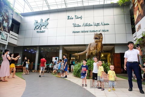 Bảo tàng chỉ rộng 300m2 nhưng luôn đắt khách nhất Hà Nội, có gì bên trong? - Ảnh 2. Bảo tàng chỉ rộng 300m2 nhưng luôn đắt khách nhất Hà Nội, có gì bên trong? - Ảnh 2.