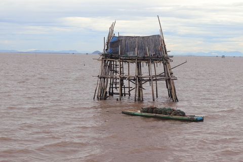 Những người phụ nữ ngâm mình dưới bùn lầy, săn sản vật ở rừng ngập mặn Ninh Bình - Ảnh 4. Những người phụ nữ ngâm mình dưới bùn lầy, săn sản vật ở rừng ngập mặn Ninh Bình - Ảnh 4.