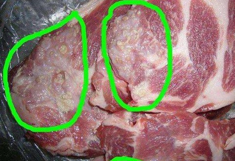 Đi chợ Tết đừng mua thịt, nội tạng động vật có dấu hiệu này vì dễ mua phải hàng đông lạnh ôi thiu, chứa "ổ vi khuẩn" đáng sợ- Ảnh 5. Đi chợ Tết đừng mua thịt, nội tạng động vật có dấu hiệu này vì dễ mua phải hàng đông lạnh ôi thiu, chứa "ổ vi khuẩn" đáng sợ- Ảnh 5.
