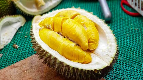 EU kiểm tra dư lượng thuốc trừ sâu với mặt hàng 2 tỷ USD vừa lập kỷ lục xuất khẩu chưa từng có của VN- Ảnh 5. EU kiểm tra dư lượng thuốc trừ sâu với mặt hàng 2 tỷ USD vừa lập kỷ lục xuất khẩu chưa từng có của VN- Ảnh 5.