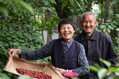 Tôi 61 tuổi, điều khôn ngoan nhất trong đời là đóng bảo hiểm cho bố mẹ: Những người trước đây nói tôi dại dột giờ đều ghen tỵ!- Ảnh 1. Tôi 61 tuổi, điều khôn ngoan nhất trong đời là đóng bảo hiểm cho bố mẹ: Những người trước đây nói tôi dại dột giờ đều ghen tỵ!- Ảnh 1.
