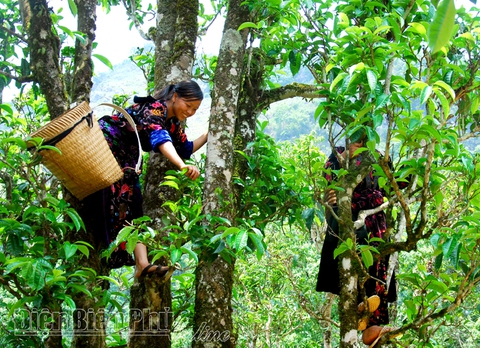 Quy hoạch tỉnh Điện Biên: 4 trục động lực - 3 vùng kinh tế - 4 cực tăng trưởng- Ảnh 4. Quy hoạch tỉnh Điện Biên: 4 trục động lực - 3 vùng kinh tế - 4 cực tăng trưởng- Ảnh 4.