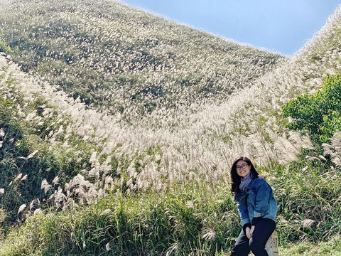 Ngoài biển, Quảng Ninh còn có một vùng núi hoang sơ được ví như "Sa Pa thu nhỏ", cách Hạ Long hơn 100km - Ảnh 15.