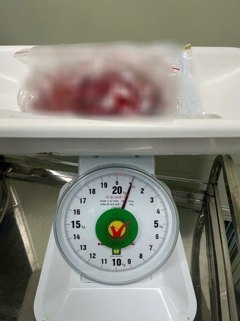 - Ảnh 2. - Ảnh 2.