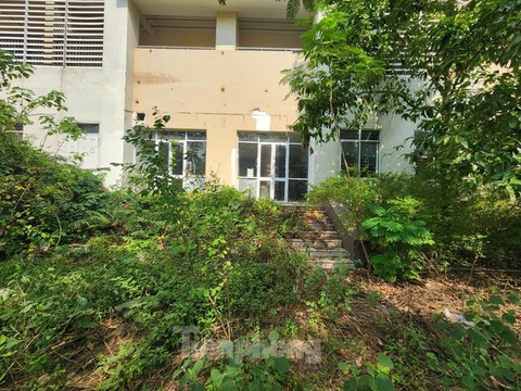 Hà Nội cải tạo Khu nhà sinh viên Pháp vân - tứ Hiệp thành Khu nhà ở xã hội - Ảnh 6. Hà Nội cải tạo Khu nhà sinh viên Pháp vân - tứ Hiệp thành Khu nhà ở xã hội - Ảnh 6.