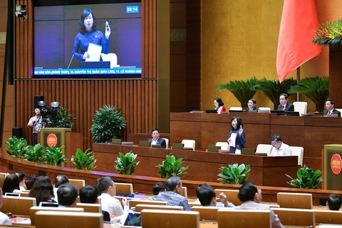 Bộ trưởng Đào Hồng Lan mang thuốc lá điện tử vào nghị trường để minh họa khi trả lời chất vấn- Ảnh 2. Bộ trưởng Đào Hồng Lan mang thuốc lá điện tử vào nghị trường để minh họa khi trả lời chất vấn- Ảnh 2.