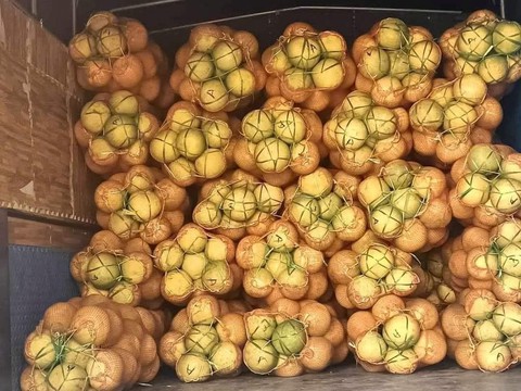 23 người bị cấm giao dịch chứng khoán vì "tiếp tay" cho thao túng giá cổ phiếu - Ảnh 1.