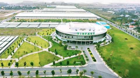Loại hải sản xa xỉ bậc nhất tại Việt Nam rao bán tràn lan, giá rẻ chưa từng thấy: Sự thật là gì? - Ảnh 7.
