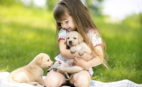 Cậu bé cắm cúi làm bài tập về nhà, sự xuất hiện của "sinh vật lạ" bên cạnh khiến bố mẹ chỉ biết dở khóc dở cười- Ảnh 2. Cậu bé cắm cúi làm bài tập về nhà, sự xuất hiện của "sinh vật lạ" bên cạnh khiến bố mẹ chỉ biết dở khóc dở cười- Ảnh 2.