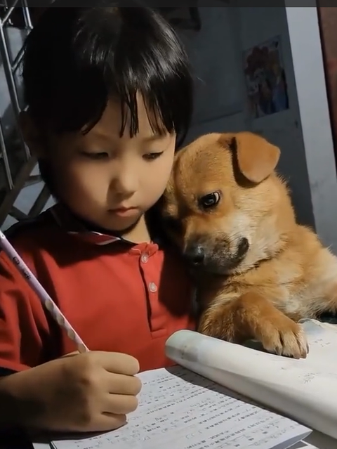 Cậu bé cắm cúi làm bài tập về nhà, sự xuất hiện của "sinh vật lạ" bên cạnh khiến bố mẹ chỉ biết dở khóc dở cười- Ảnh 1. Cậu bé cắm cúi làm bài tập về nhà, sự xuất hiện của "sinh vật lạ" bên cạnh khiến bố mẹ chỉ biết dở khóc dở cười- Ảnh 1.