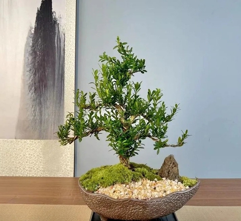 Người xưa dặn: Phòng khách có 3 thứ này, gia chủ phất lên giàu sang - con cháu đời đời hưởng phúc- Ảnh 3. Người xưa dặn: Phòng khách có 3 thứ này, gia chủ phất lên giàu sang - con cháu đời đời hưởng phúc- Ảnh 3.