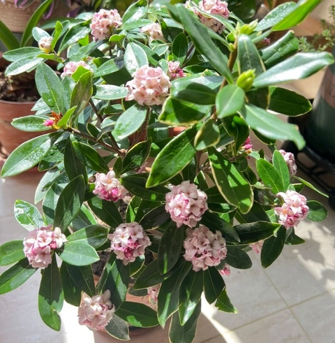 Người xưa dặn: Phòng khách có 3 thứ này, gia chủ phất lên giàu sang - con cháu đời đời hưởng phúc- Ảnh 2. Người xưa dặn: Phòng khách có 3 thứ này, gia chủ phất lên giàu sang - con cháu đời đời hưởng phúc- Ảnh 2.