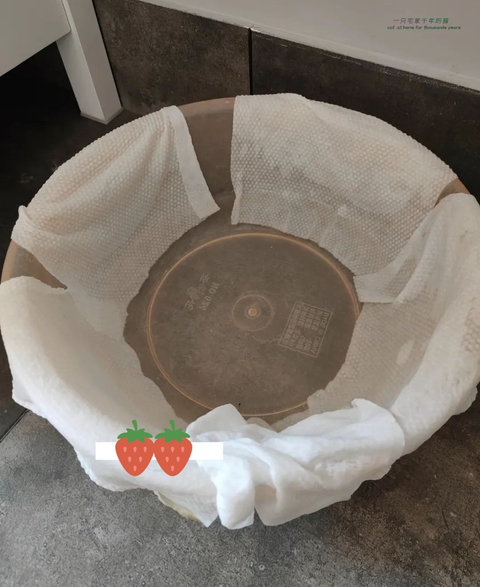 5 mẹo vặt của mẹ khiến tôi "phục sát đất": Thật không thể đùa với bà nội trợ 30 năm thâm niên! - Ảnh 6. 5 mẹo vặt của mẹ khiến tôi "phục sát đất": Thật không thể đùa với bà nội trợ 30 năm thâm niên! - Ảnh 6.