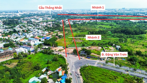- Ảnh 8. - Ảnh 8.