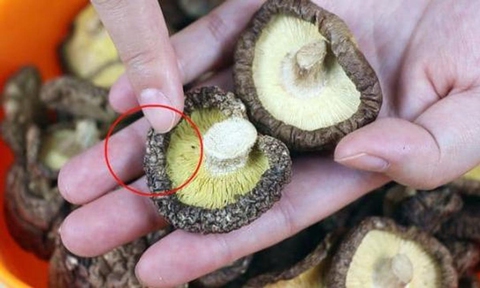 Mua nấm hương thấy 5 dấu hiệu này rẻ mấy cũng đừng tham, không khác gì mang mầm bệnh về nhà- Ảnh 2. Mua nấm hương thấy 5 dấu hiệu này rẻ mấy cũng đừng tham, không khác gì mang mầm bệnh về nhà- Ảnh 2.