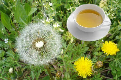 35 tuổi, tôi mua 1 loại lá khô có giá rẻ bèo ngoài chợ, pha vào nước uống hàng ngày: Chứng kiến sự thay đổi bất ngờ của cơ thể- Ảnh 3. 35 tuổi, tôi mua 1 loại lá khô có giá rẻ bèo ngoài chợ, pha vào nước uống hàng ngày: Chứng kiến sự thay đổi bất ngờ của cơ thể- Ảnh 3.