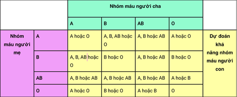 Thấy con có nhóm máu khác mình, người đàn ông một mực nghĩ vợ ngoại tình: 7 năm sau sự thật được hé lộ- Ảnh 2.