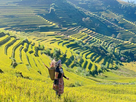 Không kết hôn, 9x Tây Ninh dành cả thanh xuân chinh phục 15 đỉnh núi, tiết lộ tài sản Không kết hôn, 9x Tây Ninh dành cả thanh xuân chinh phục 15 đỉnh núi, tiết lộ tài sản
